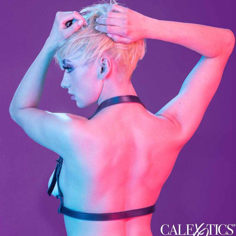CALEXOTICS - EUPHORIA ARNÉS HATLER CON HEBILLA NEGRO - Optelum