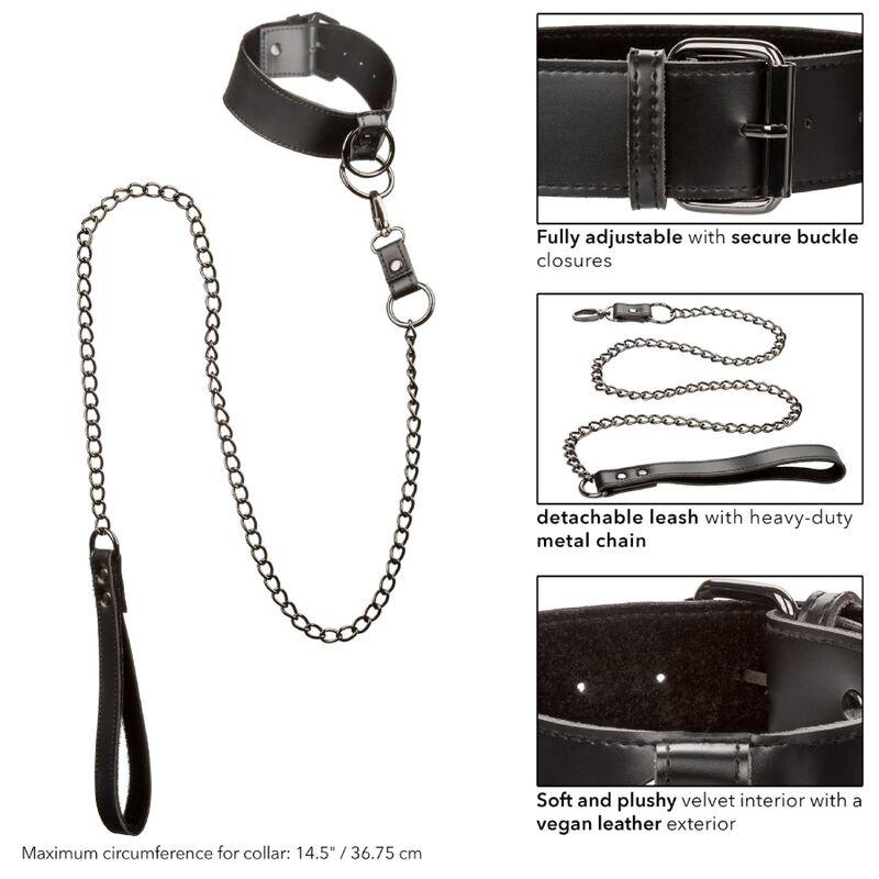 CALEXOTICS - EUPHORIA COLLAR CON CORREA DE CADENA - Optelum