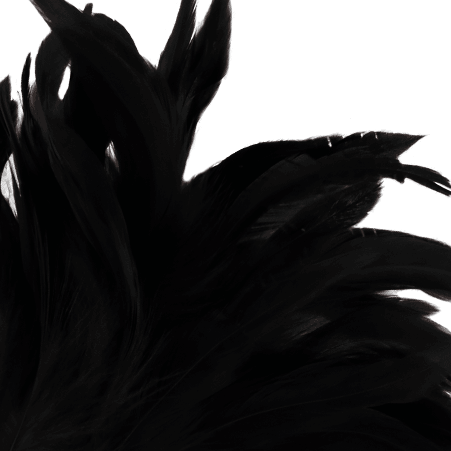 DARKNESS - PLUMA ESTIMULADORA NEGRO LUX - Optelum