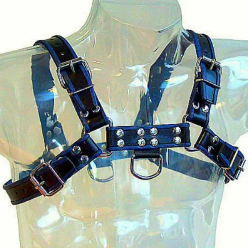 LEATHER BODY - ARNES CUERO AZUL Y NEGRO CHEST BULLDOG - Optelum