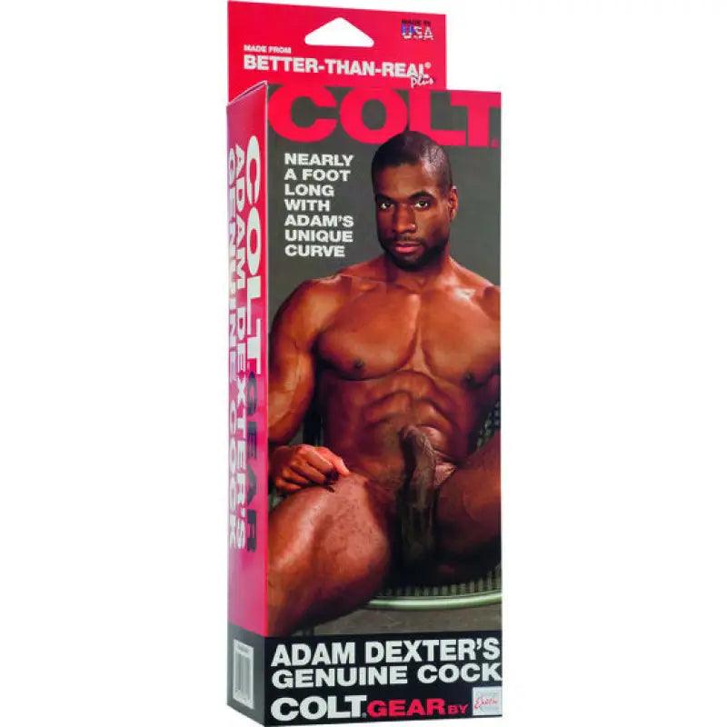 CALEXOTICS - COLT PENE REALISTICO ADAM DEXTER - Optelum