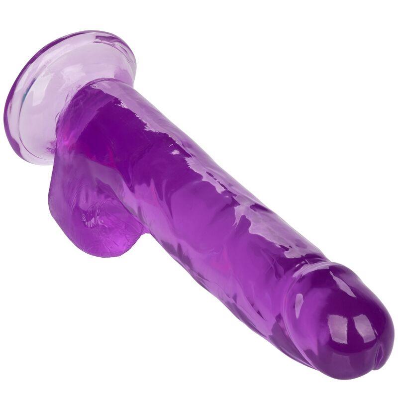 CALEXOTICS - SIZE QUEEN DILDO LILA 20.3 CM - Optelum