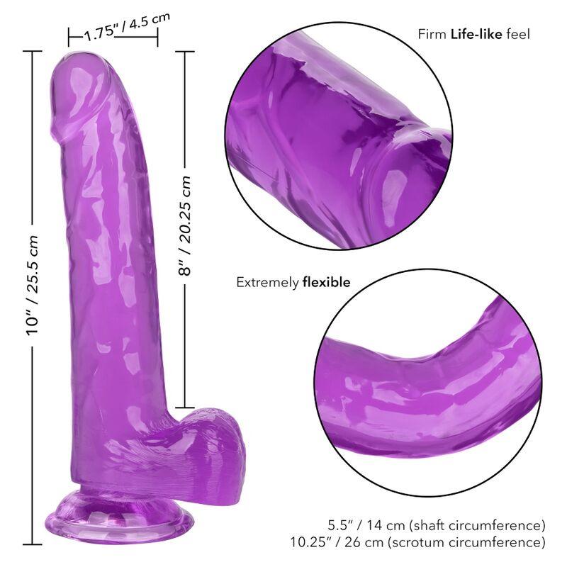 CALEXOTICS - SIZE QUEEN DILDO LILA 20.3 CM - Optelum