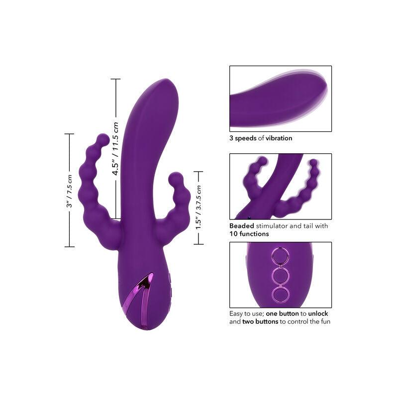 CALEXOTICS - LONG BEACH BOOTYLICIOUS PURPLE - Optelum