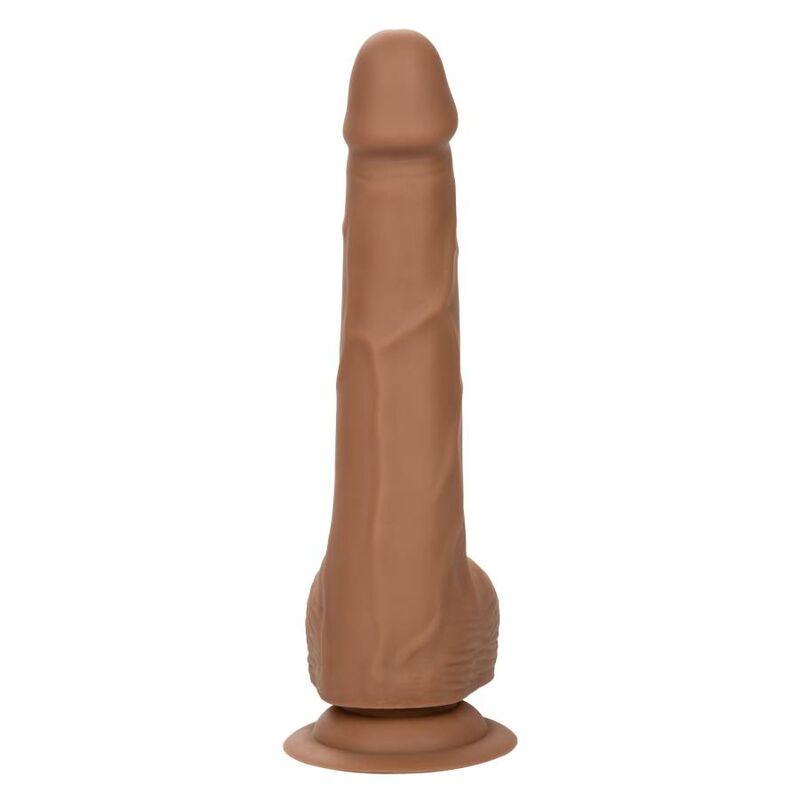 CALEXOTICS - SILICONE STUDS 20.32 CM BROWN - Optelum