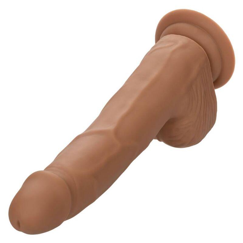 CALEXOTICS - SILICONE STUDS 20.32 CM BROWN - Optelum