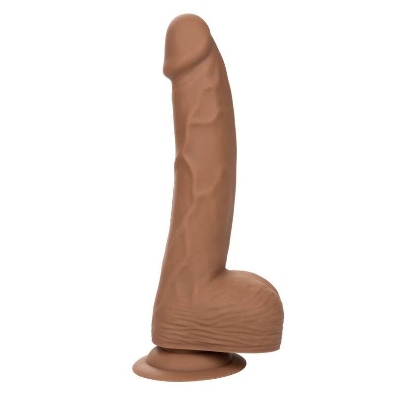 CALEXOTICS - SILICONE STUDS 20.32 CM BROWN - Optelum