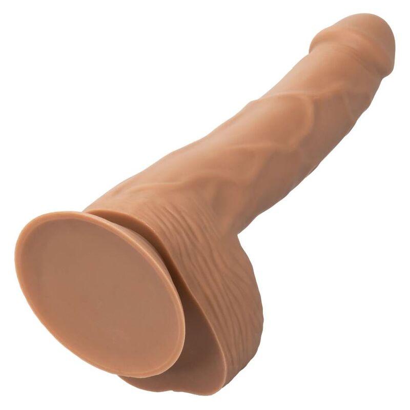 CALEXOTICS - SILICONE STUDS 20.32 CM BROWN - Optelum
