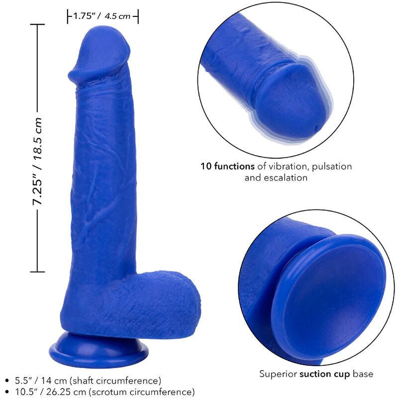 CALEXOTICS - ADMIRAL CAPTAIN DILDO REALISTICO VIBRADOR AZUL - Optelum