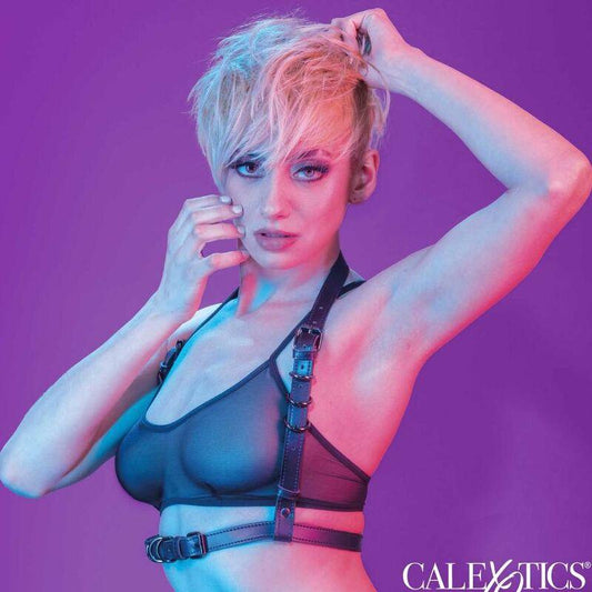 CALEXOTICS - EUPHORIA ARNÉS HATLER CON HEBILLA NEGRO - Optelum