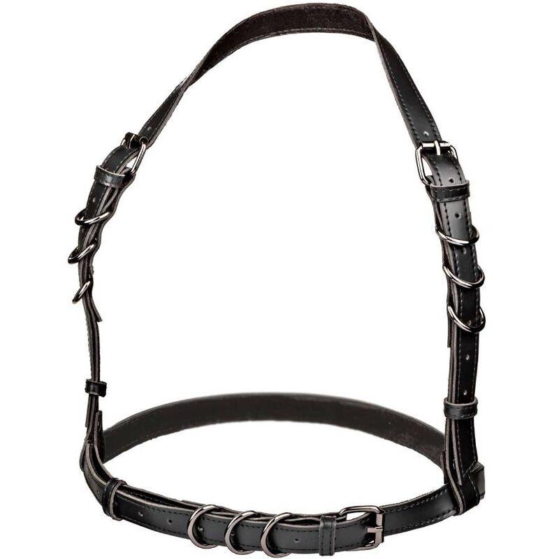 CALEXOTICS - EUPHORIA ARNÉS HATLER CON HEBILLA TALLA GRANDE NEGRO - Optelum