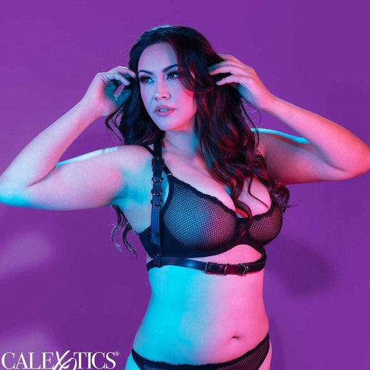 CALEXOTICS - EUPHORIA ARNÉS HATLER CON HEBILLA TALLA GRANDE NEGRO - Optelum