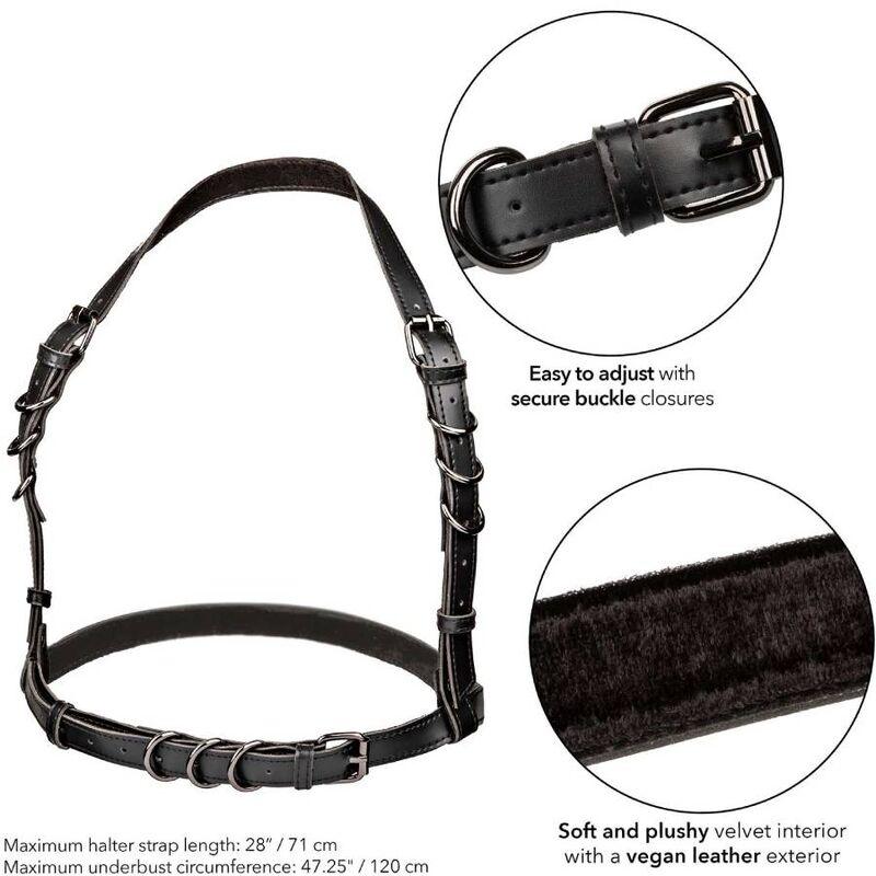 CALEXOTICS - EUPHORIA ARNÉS HATLER CON HEBILLA TALLA GRANDE NEGRO - Optelum