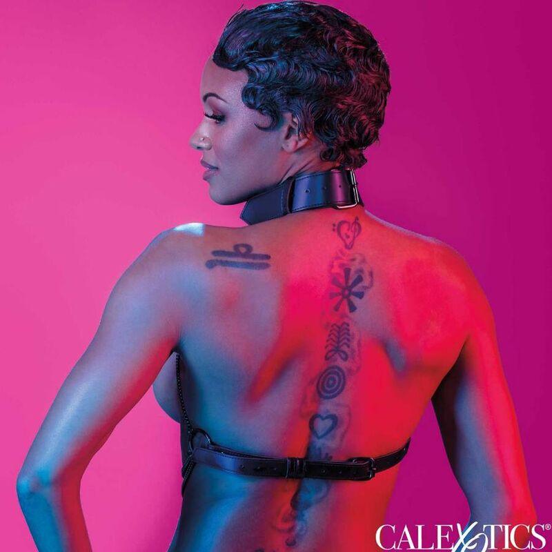 CALEXOTICS - EUPHORIA ARNÉS DE CUELLO DE CADENA - Optelum