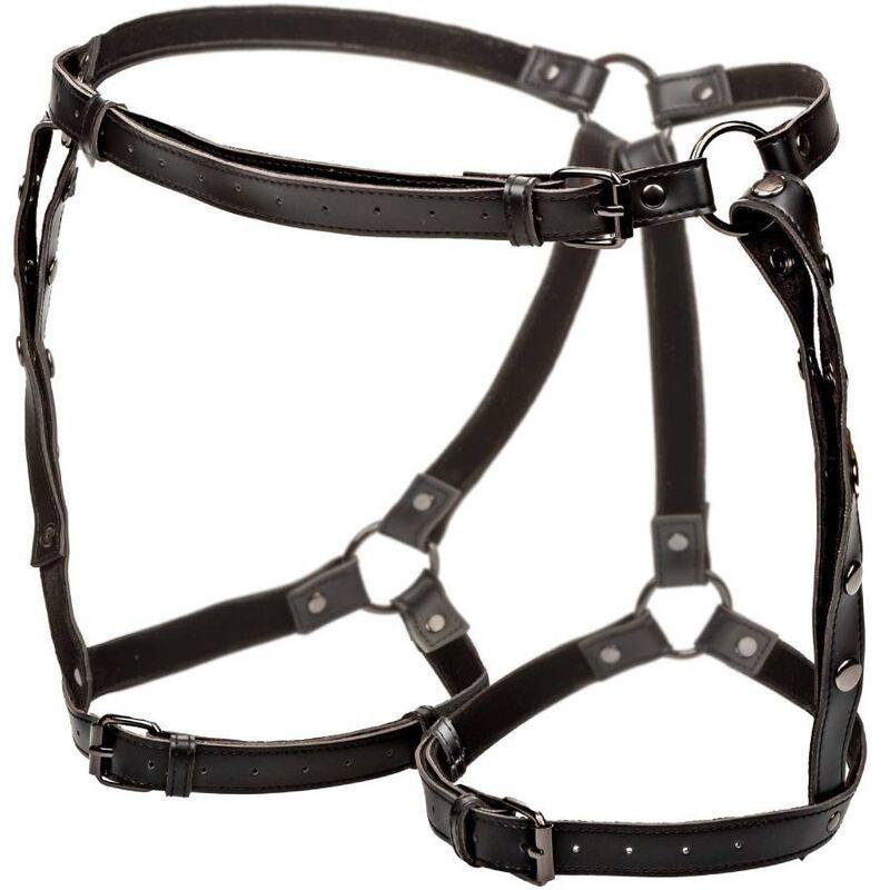 CALEXOTICS - EUPHORIA ARNÉS DE MUSLO EQUITACIÓN TALLA GRANDE - Optelum