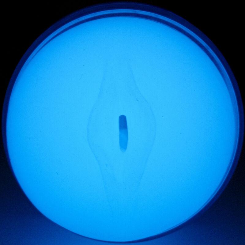 KIIROO - FEEL GLOW IN THE DARK STROKER - Optelum