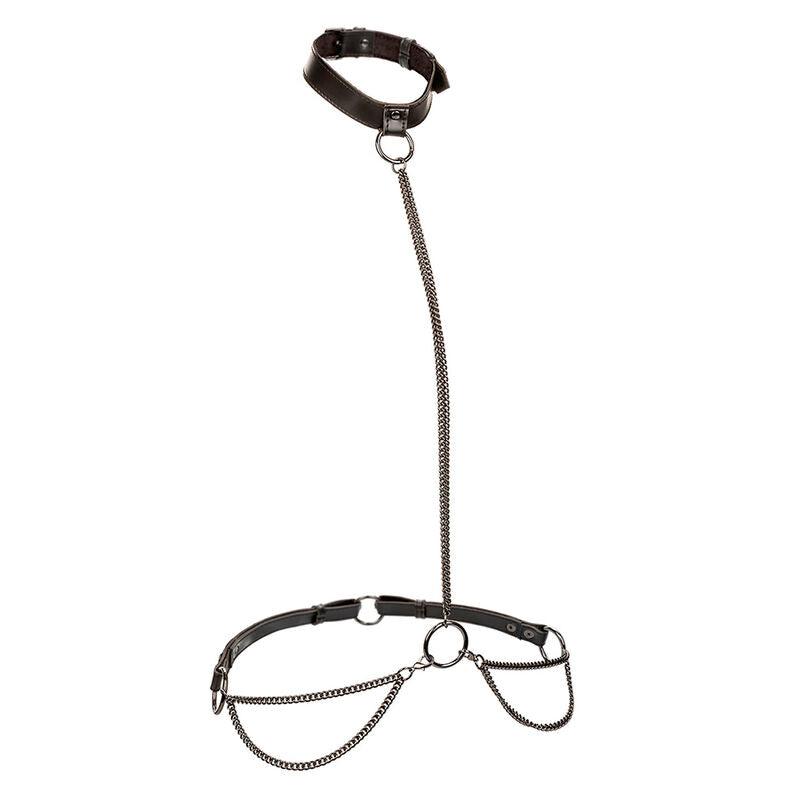 CALEXOTICS - EUPHORIA COLLAR HALTER Y CORREA CON CADENA - Optelum
