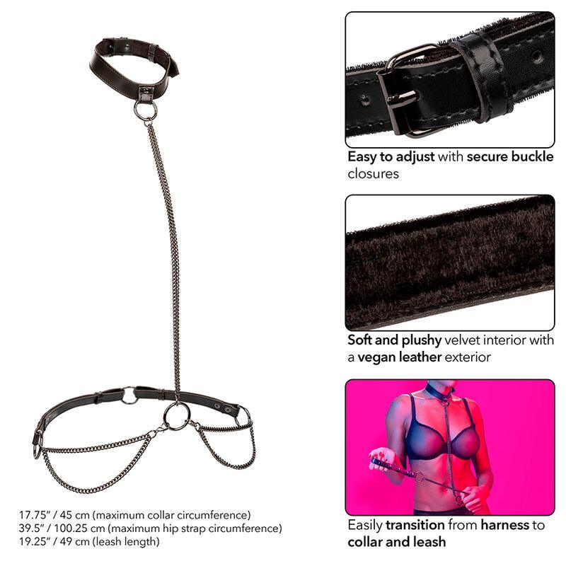 CALEXOTICS - EUPHORIA COLLAR HALTER Y CORREA CON CADENA - Optelum