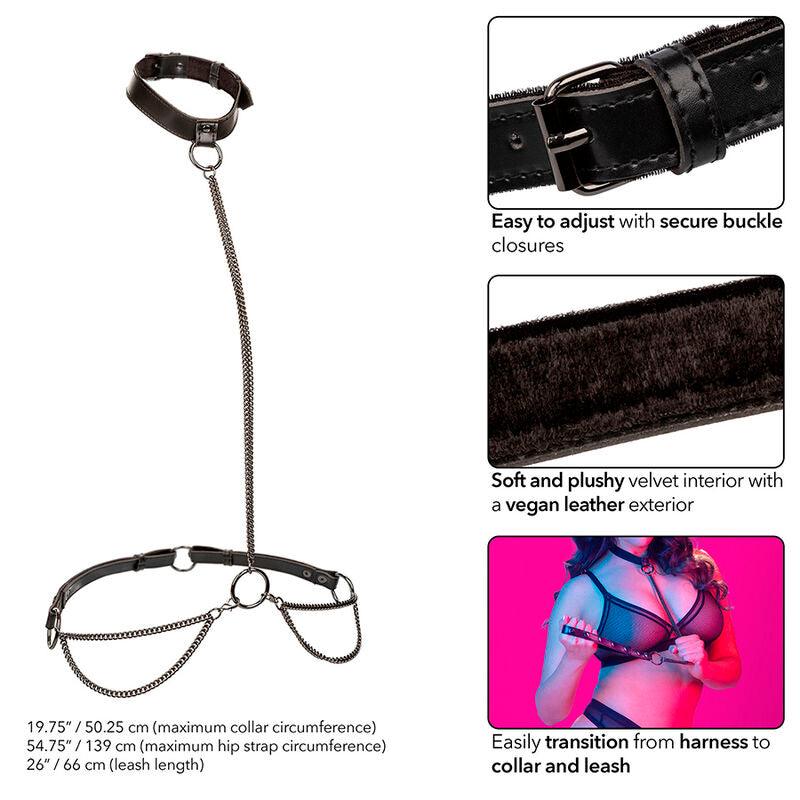 CALEXOTICS - EUPHORIA COLLAR HALTER Y CORREA CON CADENA TALLA PLUS - Optelum