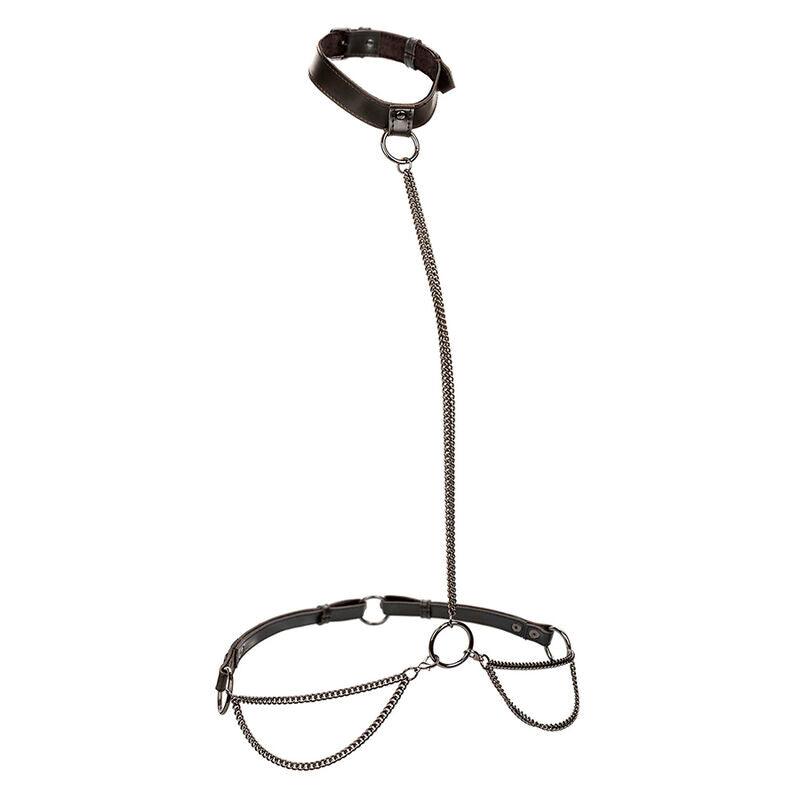 CALEXOTICS - EUPHORIA COLLAR HALTER Y CORREA CON CADENA TALLA PLUS - Optelum