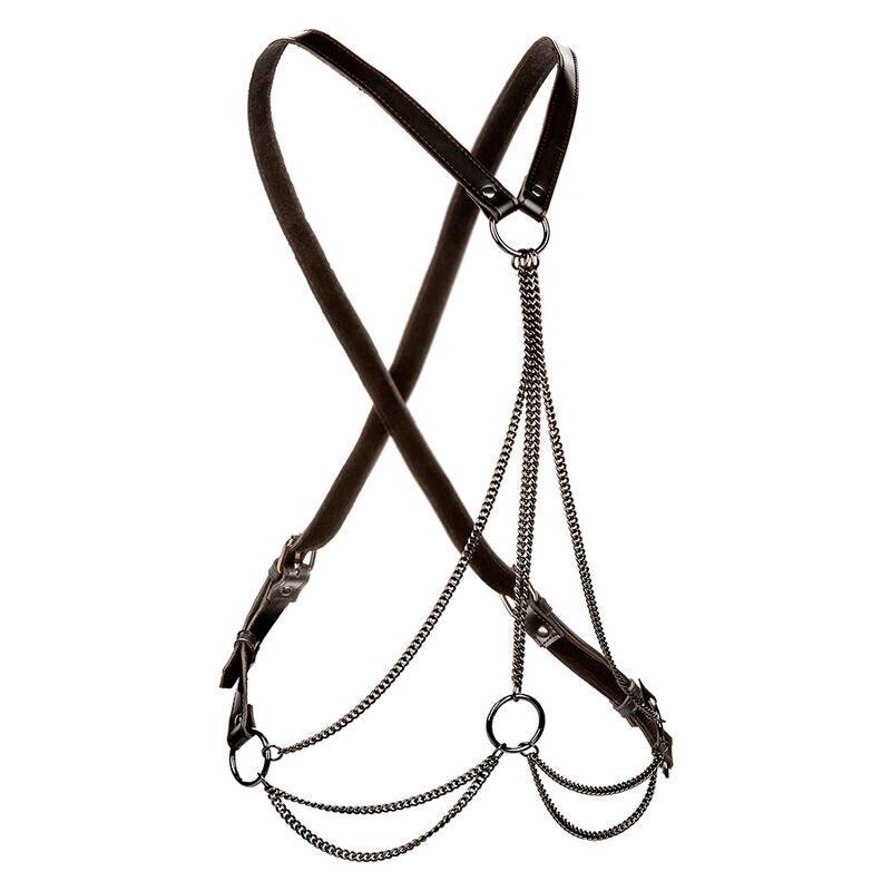 CALEXOTICS - EUPHORIA ARNÉS DE MÚLTIPLES CADENAS PREMIUM TALLA PLUS - Optelum