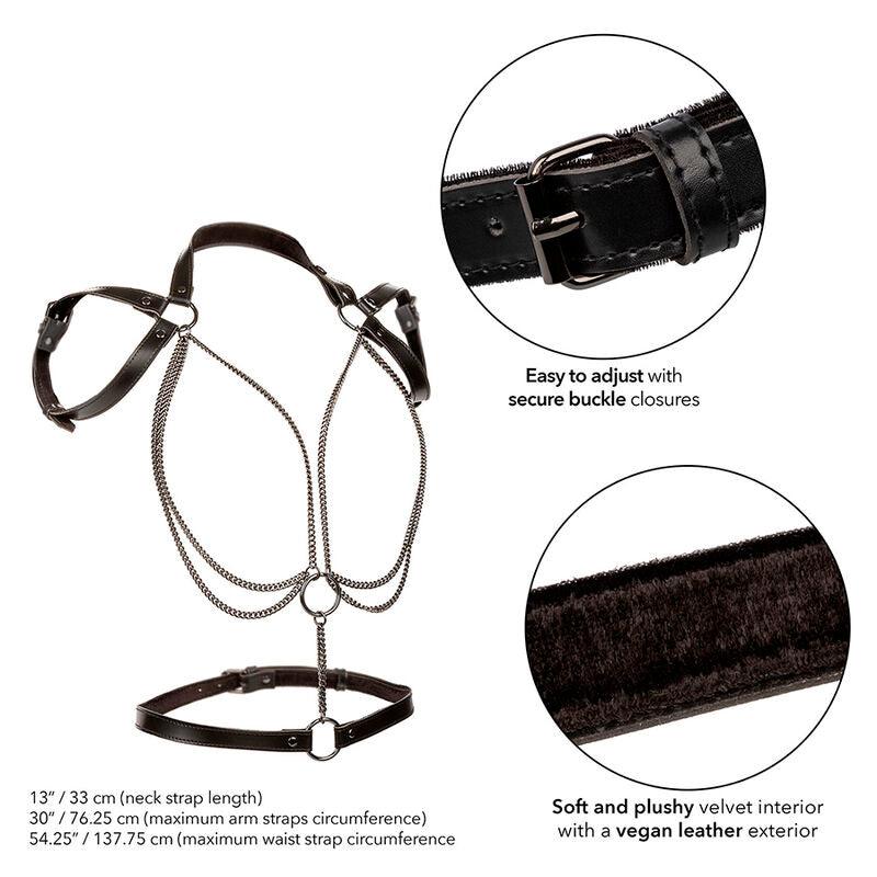 CALEXOTICS - EUPHORIA ARNÉS ESTILO CABESTRO CON MÚLTIPLES CADENAS PREMIUM TALLA PLUS - Optelum