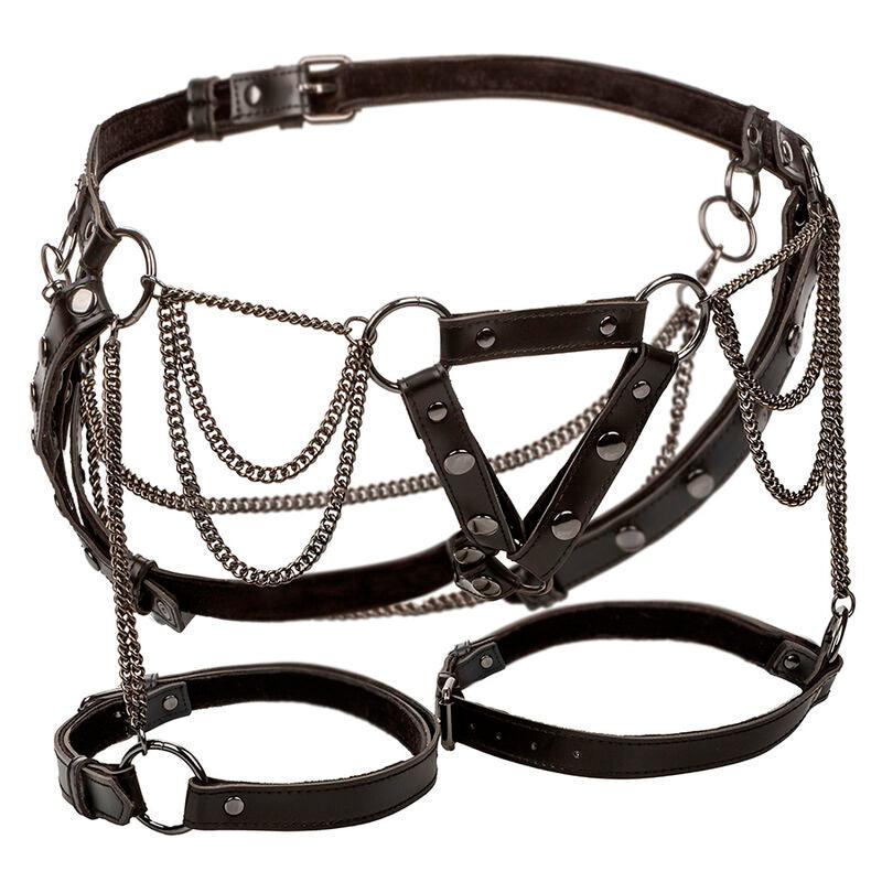CALEXOTICS - EUPHORIA ARNÉS DE MUSLO CON CADENAS PREMIUM - Optelum