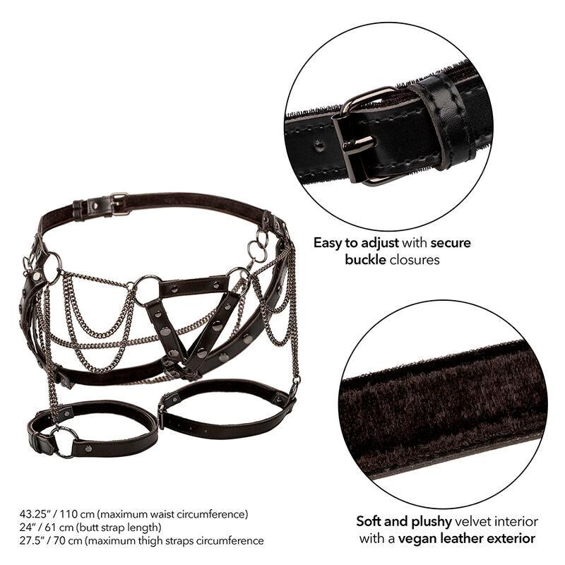 CALEXOTICS - EUPHORIA ARNÉS DE MUSLO CON CADENAS PREMIUM - Optelum