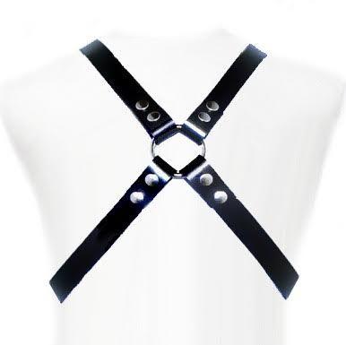 LEATHER BODY - BASIC HARNESS - Optelum