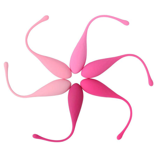 LESLIE - KEGEL FIT ENTREGADOR SUELO PELVICO 6 PESOS - Optelum